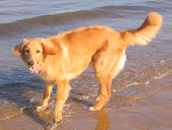 Paola au bord de l'atlantique